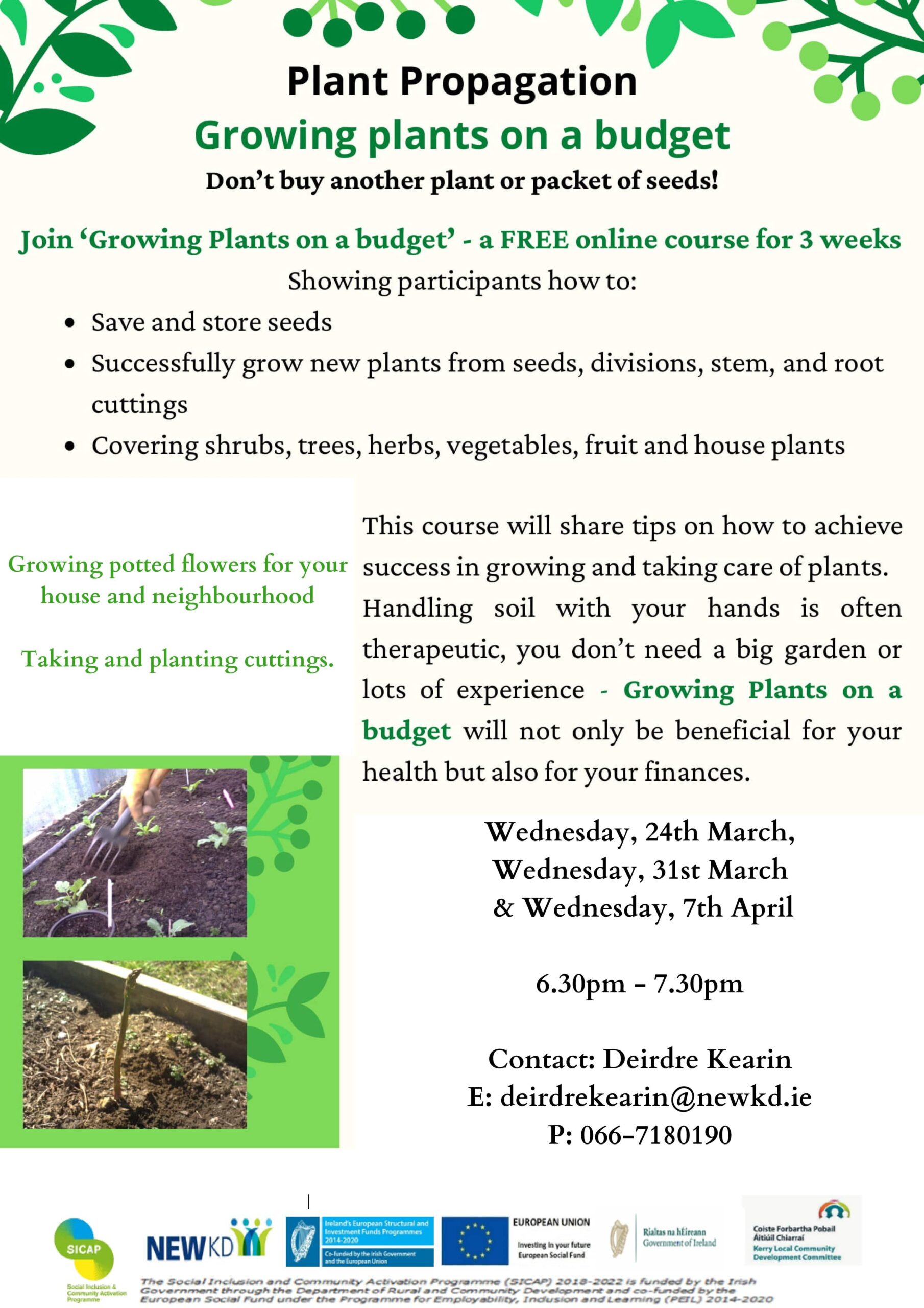 Propagating Plants…online course – North East West Kerry Development ...